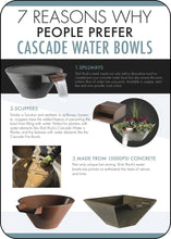 Load image into Gallery viewer, Slick Rock - Cascade Concrete Fire &amp; Water Bowl
