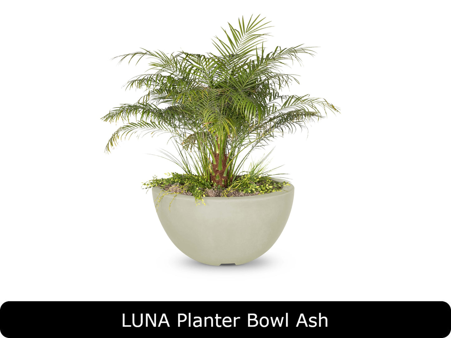 The Outdoor Plus - Luna Planter Bowl - GFRC Concrete